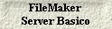 FileMaker 
 Server Basico